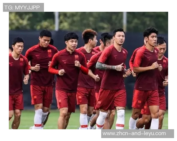 足球暂停比赛的原因分析与影响探讨及未来发展趋势展望